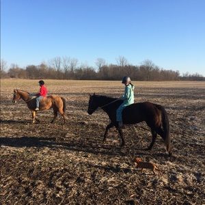 Meet your Posher, Kristal